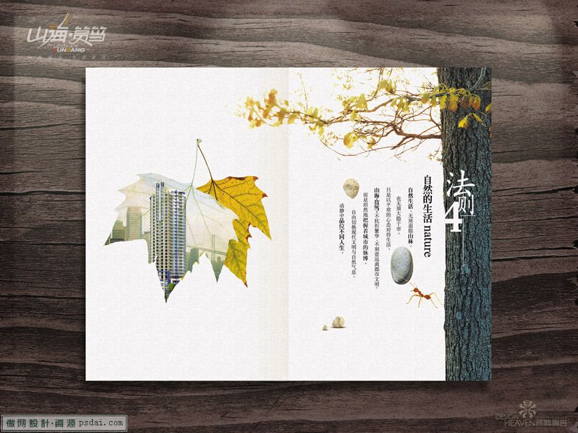 自然法则 画册欣赏