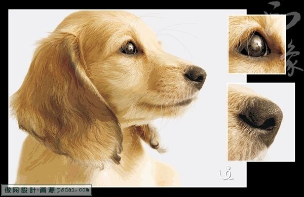 最新AI教程《Illustrator CS3 印象质感绘画表现