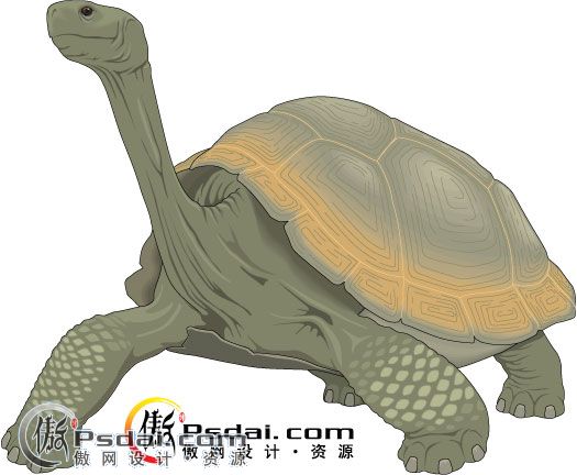 一群乌龟王八蛋的矢量图---------7张 - 矢量素材下载 - 百图汇-设计百家，以图汇友 www.5tu.cn