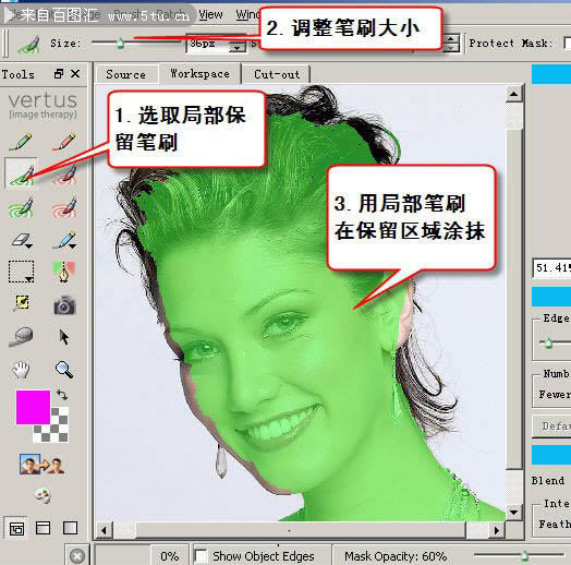 Vertus Fluid Mask v3.3.8.jpg
