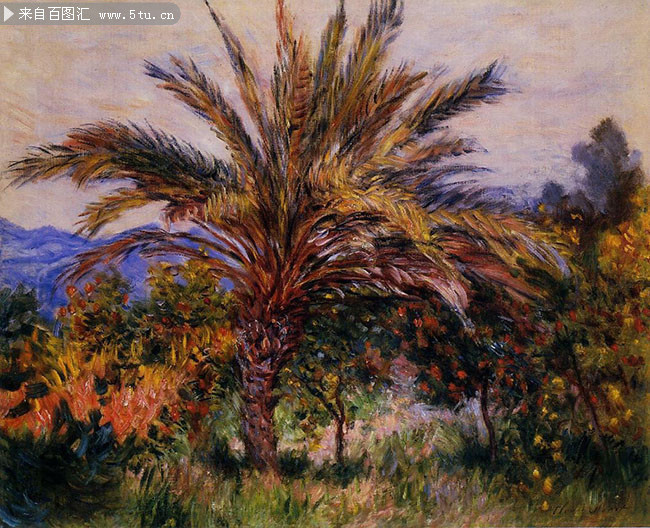 A Palm Tree at Bordighera.jpg