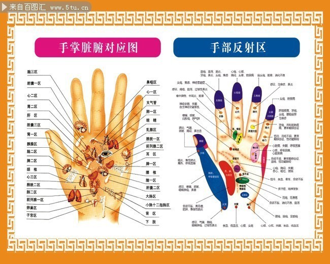 手掌穴位图
