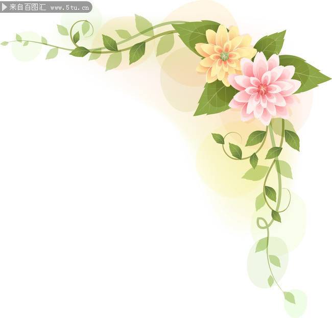 手绘花藤植物边框矢量图片素材-矢量素材-百图