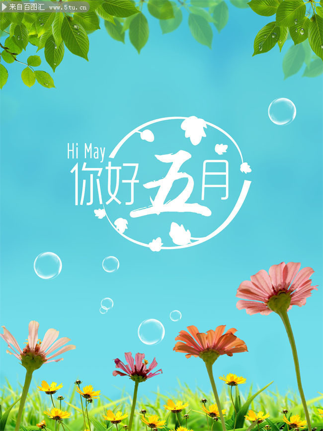清新五月海报图片