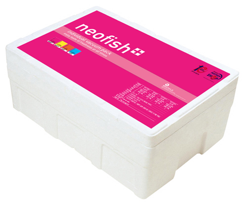 designblue_graphic019.jpg