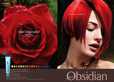 designblue_graphic047.jpg