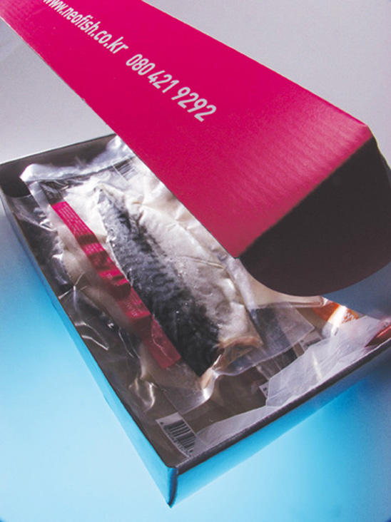 designblue_graphic015.jpg