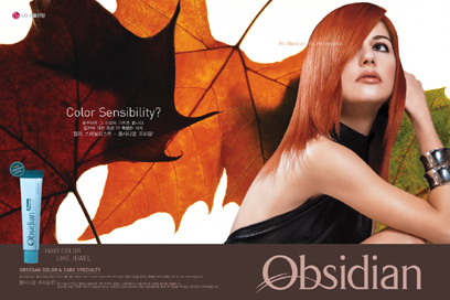 designblue_graphic048.jpg