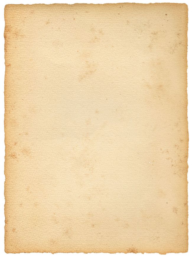 255539_9437.jpg