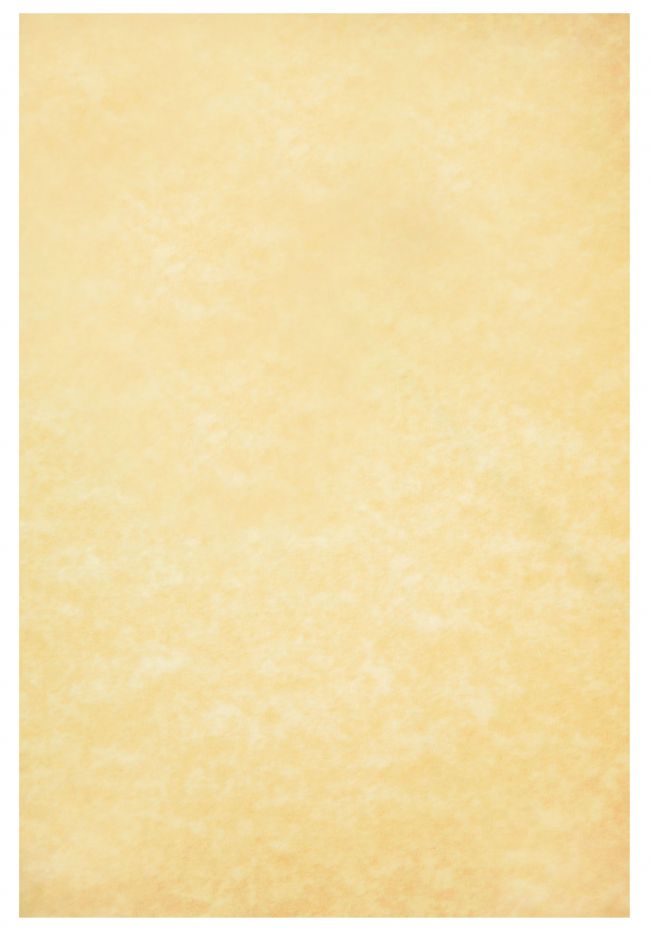 471469_37266465.jpg