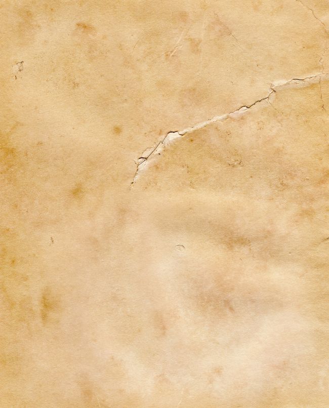 1020903_83771550123.jpg