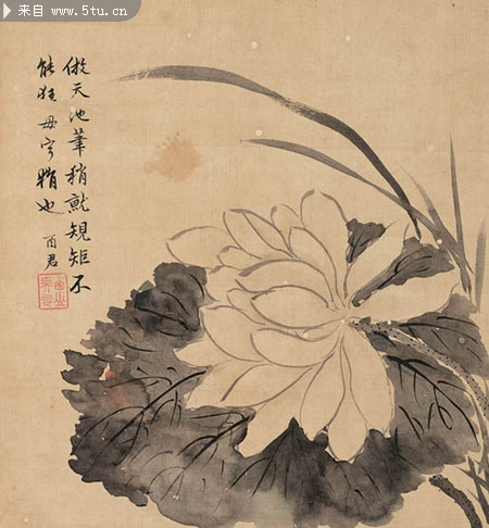 清代画家蒋廷锡花鸟画作品10幅