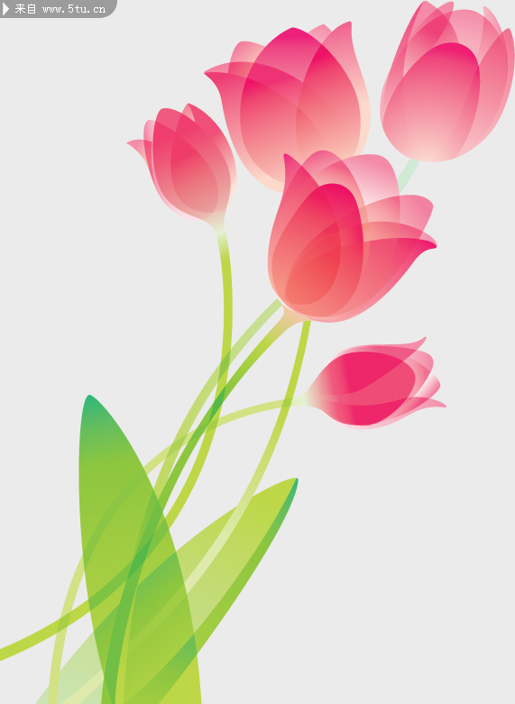 浦公英与粉嫩鲜花_花草类_植物类_psd分层素