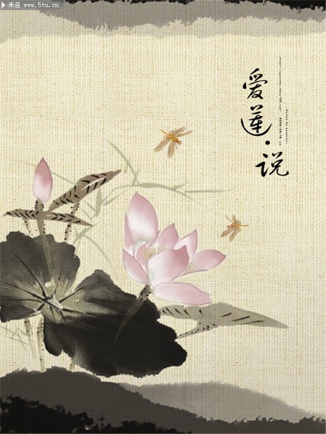 psds10558.jpg
