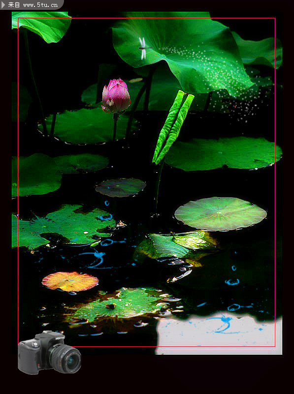 宾得相机水印 - 网页模板|素材 - 百图汇-设计百