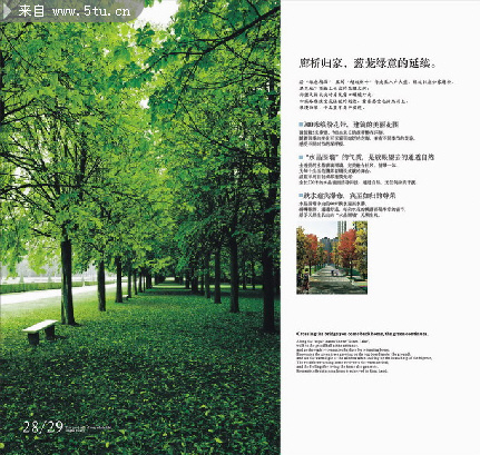 20070330151731375.jpg