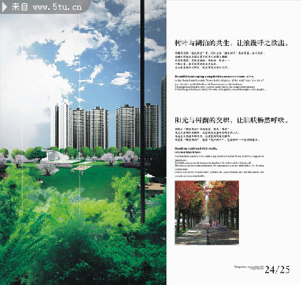 20070330151731516.jpg