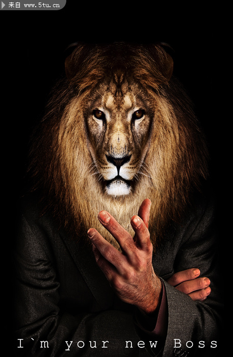 ImYourNewBoss.jpg