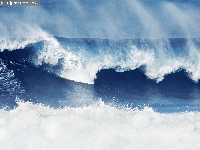 surf012.jpg