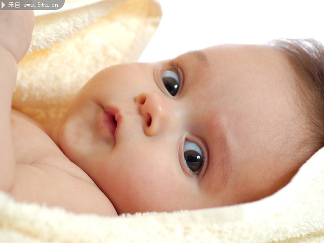 BABY_P_1013.jpg