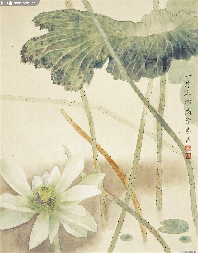 古代荷花画_古代绘画_书画艺术_稀有高精图片