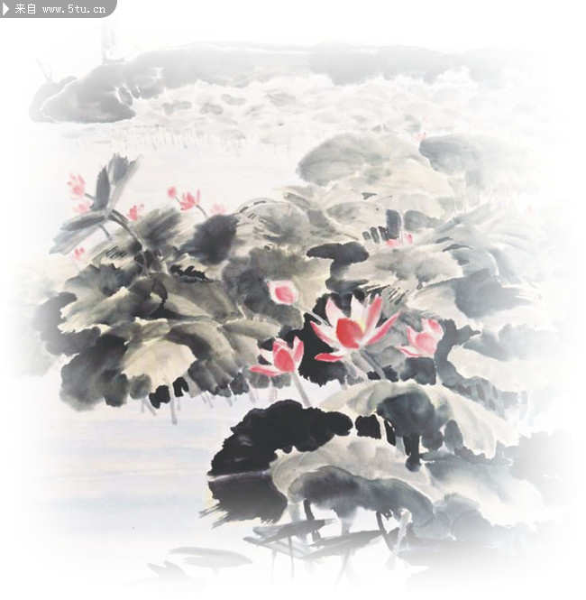 水墨荷花画_古代绘画_书画艺术_稀有高精图片