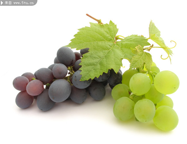 新鲜葡萄大图 超清晰葡萄图片_蔬菜瓜果类_植