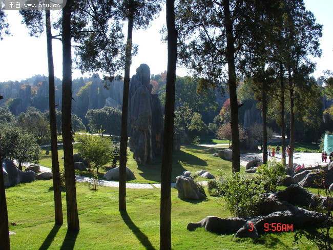 DSC00889.JPG
