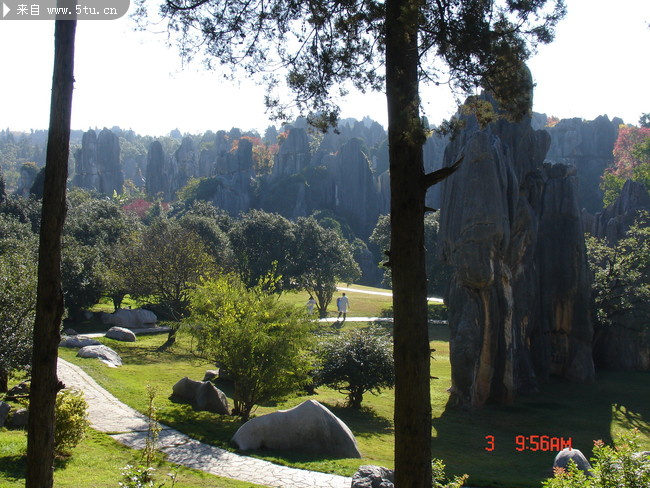 DSC00890.JPG