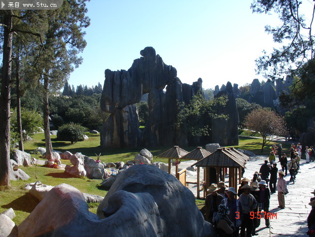 DSC00893.JPG
