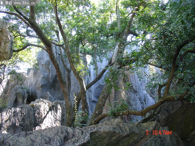 DSC00954.JPG
