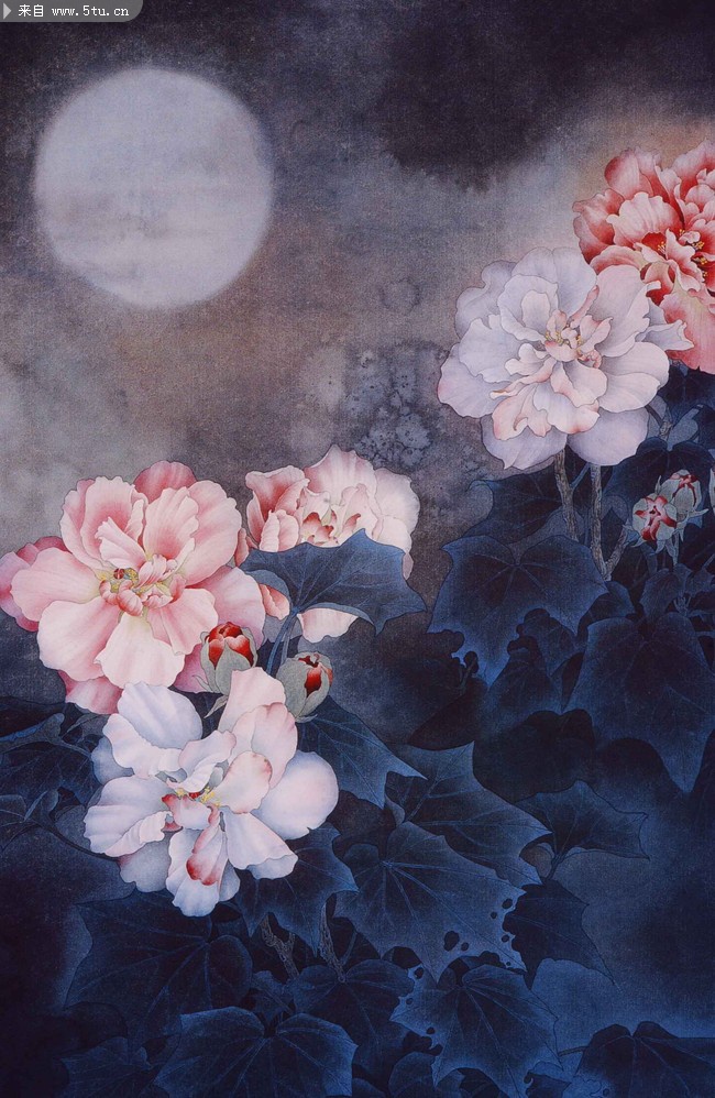 古典荷花工笔画_古代绘画_书画艺术_稀有高精