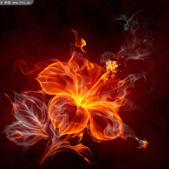 2011火焰字体 数字设计图片_新年元旦_节日喜