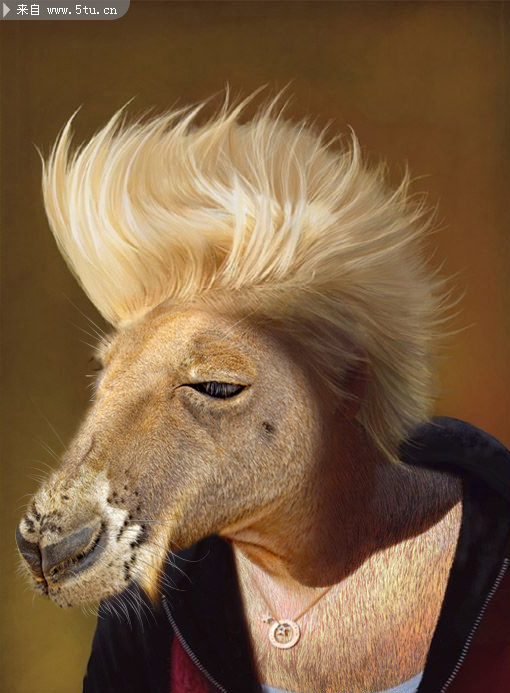 �³�����.jpg