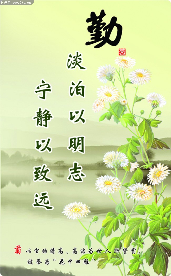 菊花画 励志座右铭_其它作品_书画艺术_psd分