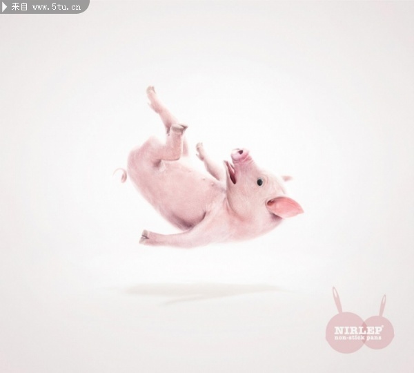 [ƽ����] �мұ���¯�Nirlep���Ͳ�ճ����1��.jpg