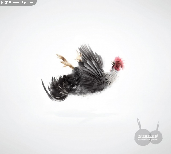 [ƽ����] �мұ���¯�Nirlep���Ͳ�ճ����2��.jpg