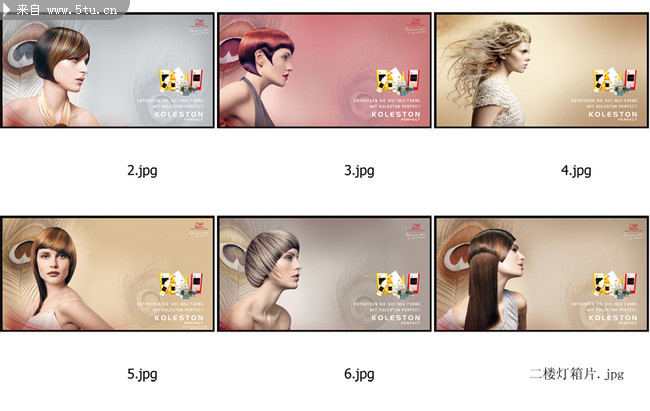 威娜时尚<em>发型图片</em> <em>美发海报</em>模板_女人_人物大