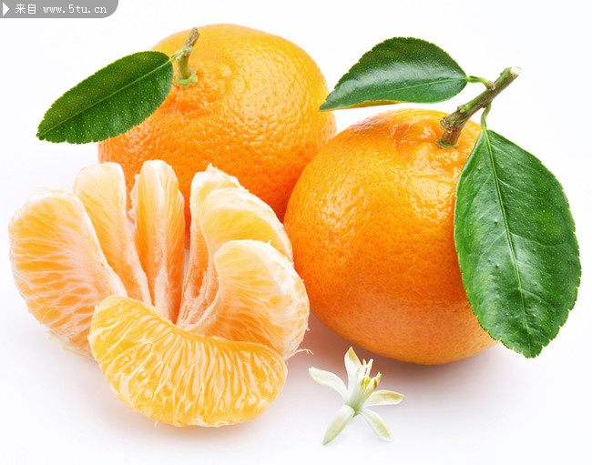 高清橘子大图