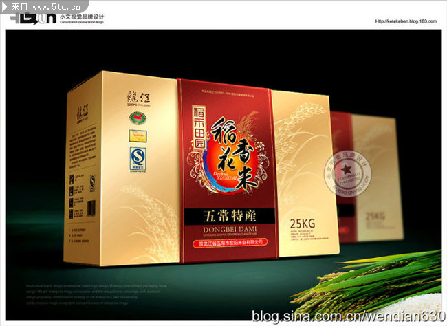 ������-�峣���װ�װ��� 3.jpg