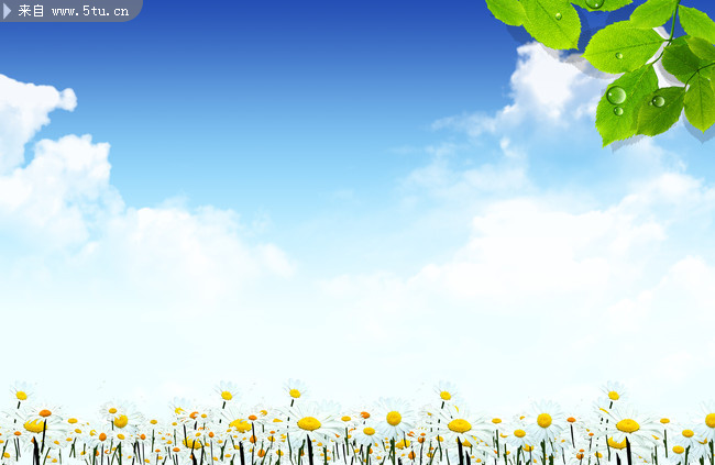 原创简单的天空鲜花背景图