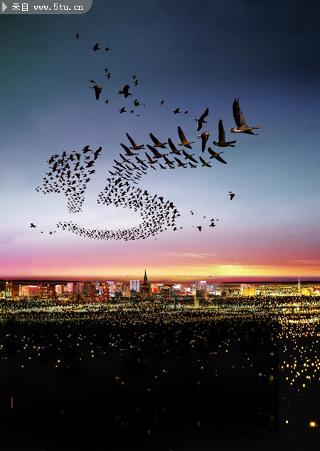 飞行大雁创意数字广告PSD像素