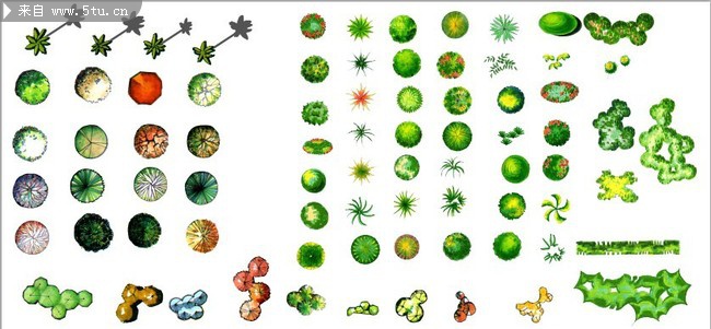 《新人贴》PS平面景观树木素材