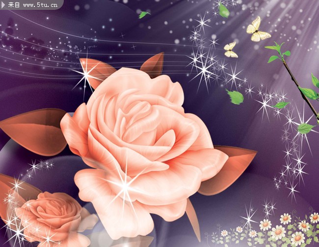 精美漂亮的玫瑰花背景