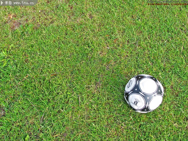绿茵场上的足球_体育器材_运动音娱_稀有高精