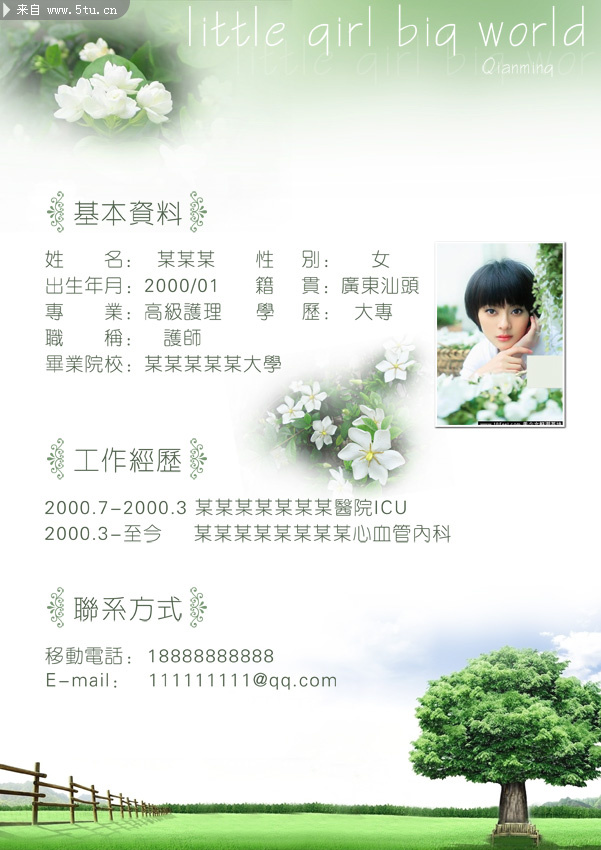 简单的个人简历设计_其它源文件_源文件库_p