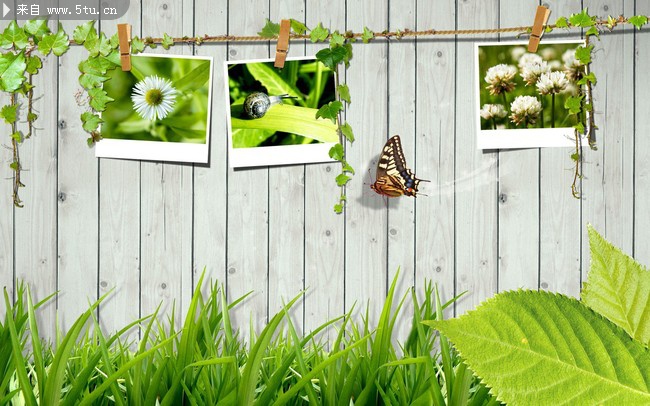 青春校园展板 - 原创设计作品发布区 - 百图汇-设