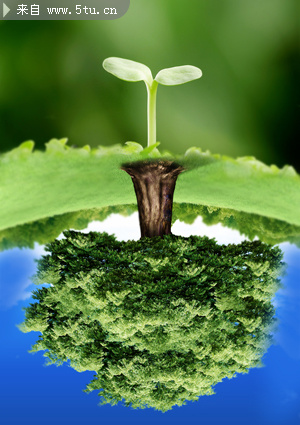 幼苗也有大树的梦想 - PSD分层素材 - 百图汇-