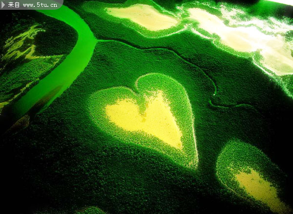 眩光ps滤镜(英文版)-笔刷滤镜插件软件-百图汇