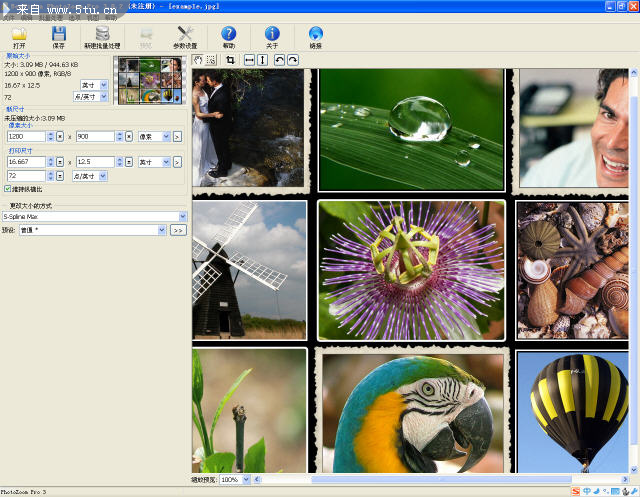 清晰放大图片软件(shortcut S-Spline2.2绿色版